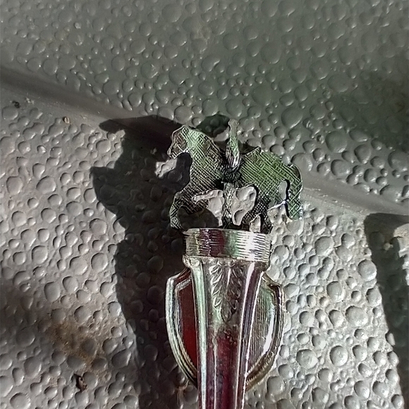 Memphis, Elysburg, Chuck wagon race Spoon set. - Picture 10 of 12